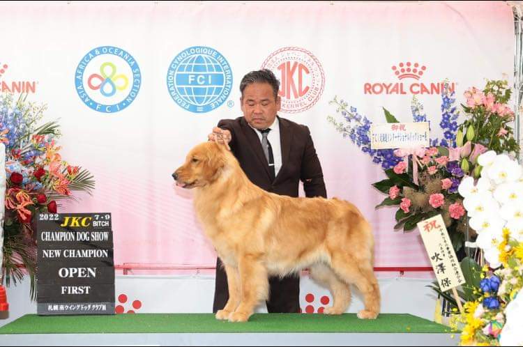 【子犬情報】″ストーン″君×″リーザ″ちゃん