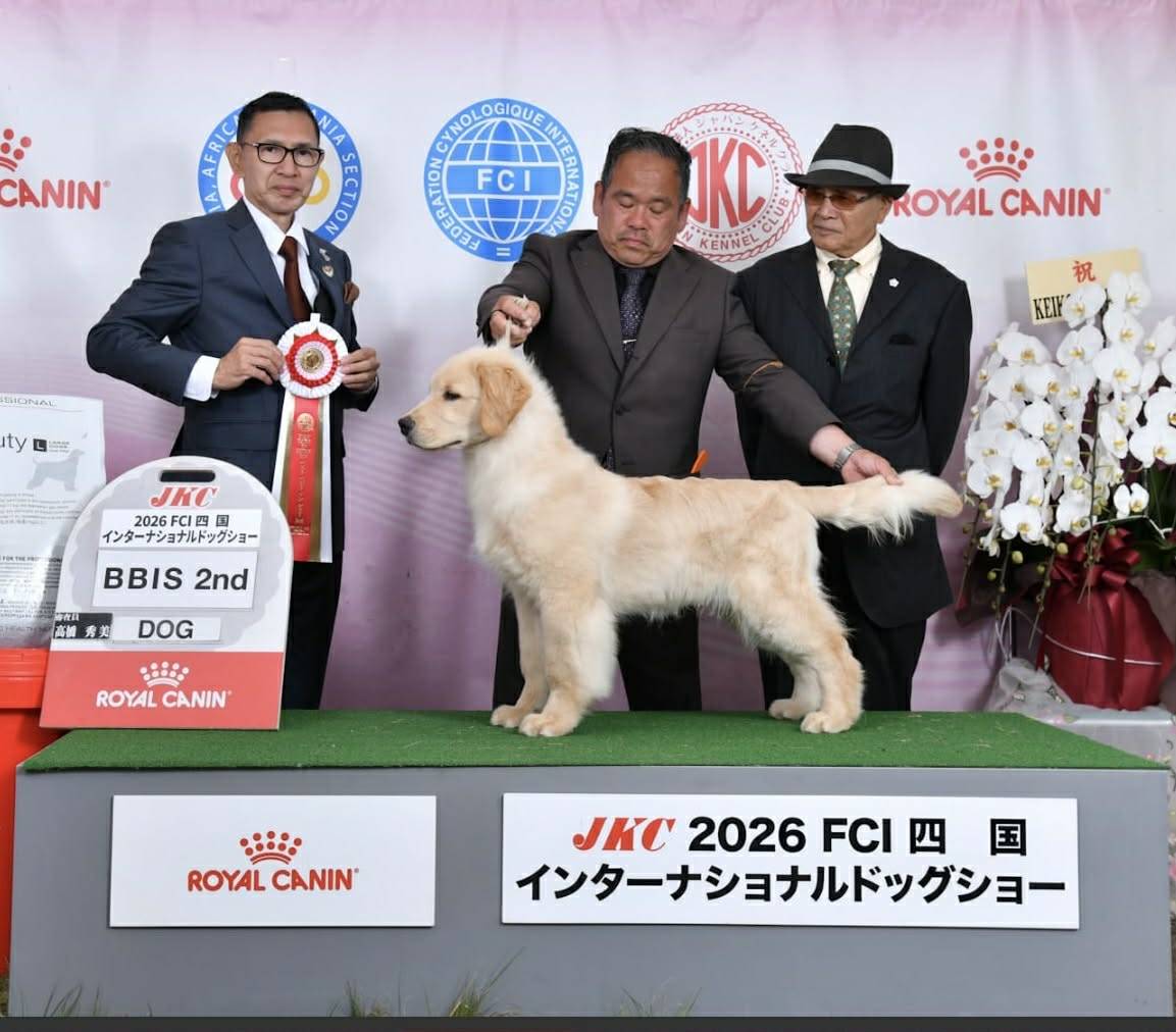 ロビン君ベビークラスBIS2ndを獲得しました🥈