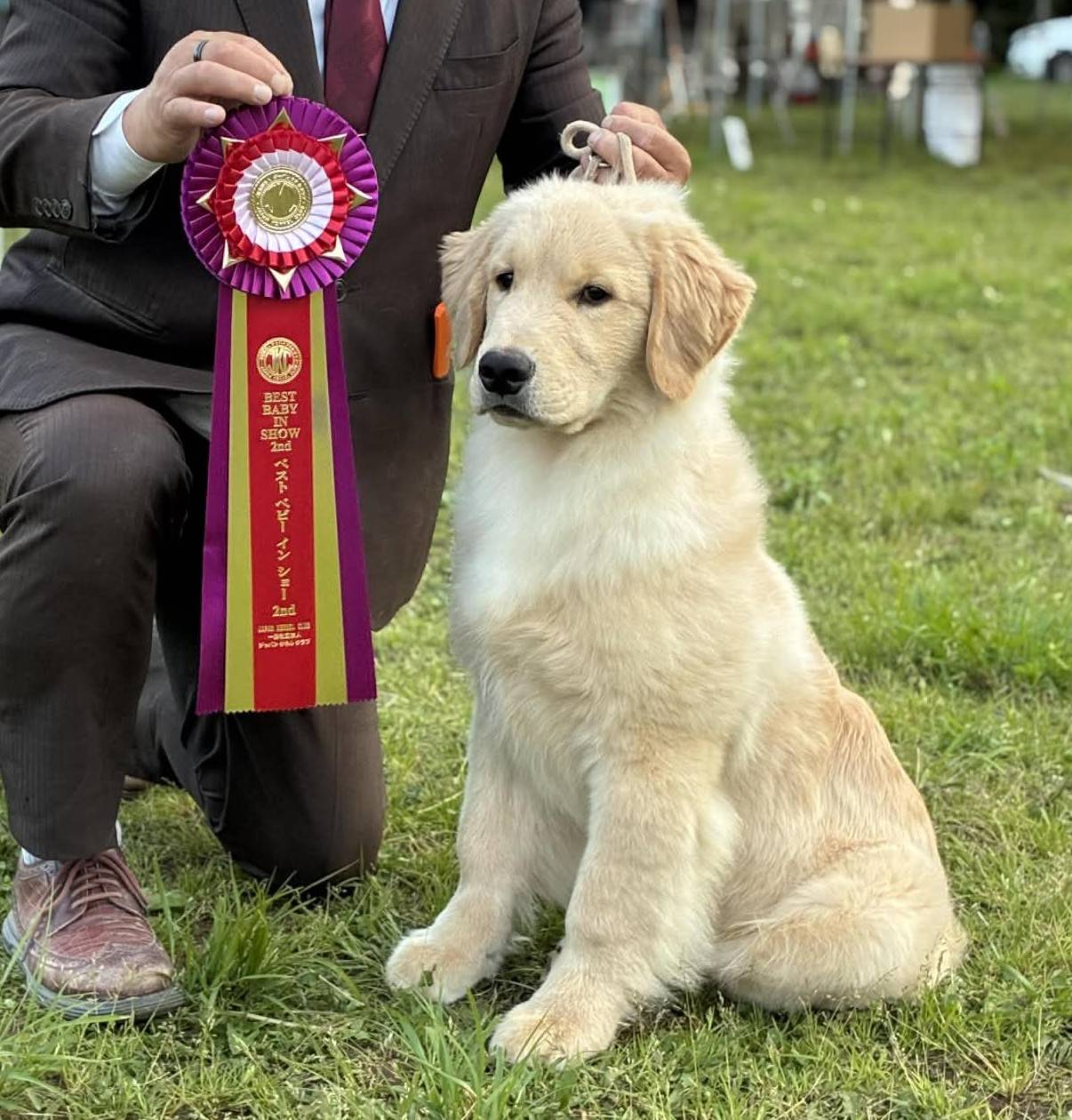 パピーちゃんのオーナー様募集中🐕！